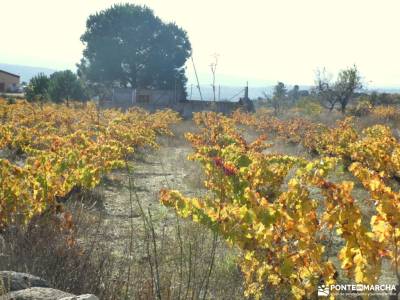 Agua, Vino y .... Vida - Tierra de Pinares; botas de goretex vacaciones en noviembre viajes septiemb